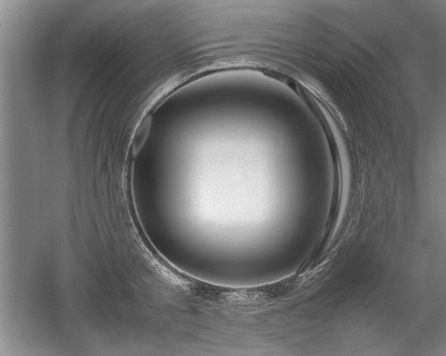 X0000052990805200507151853