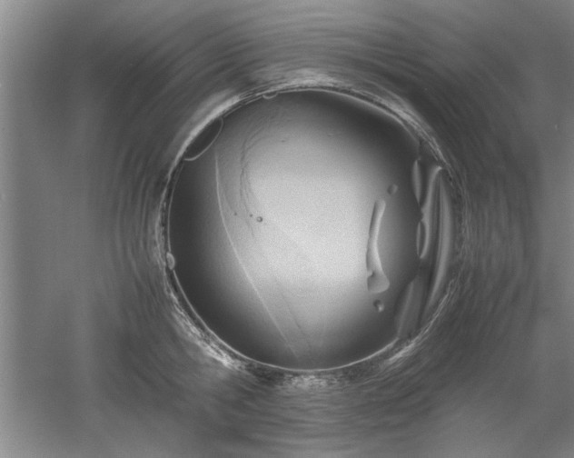 X0000052990806200507151853