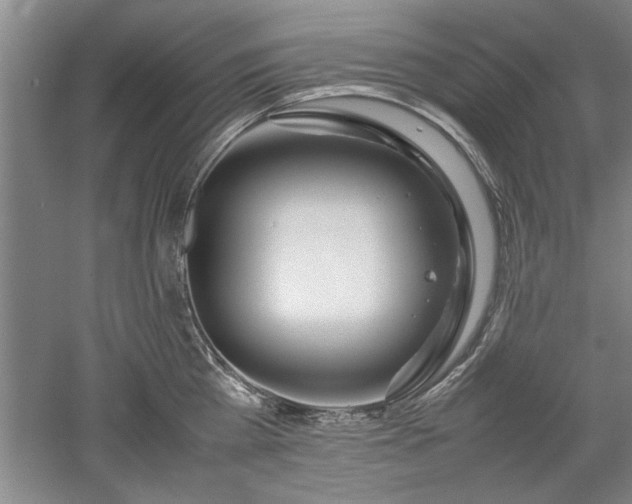 X0000052990809200507151853