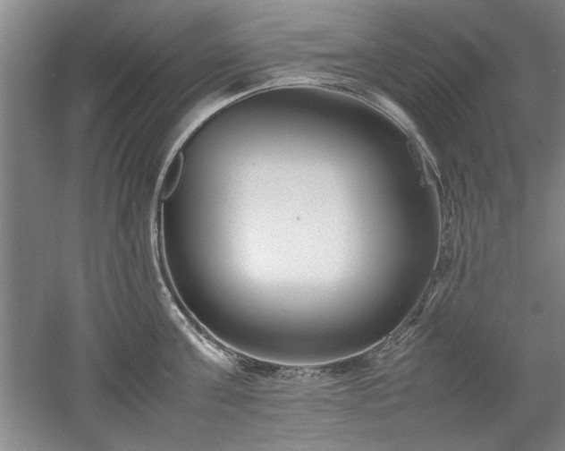 X0000052990811200507151853