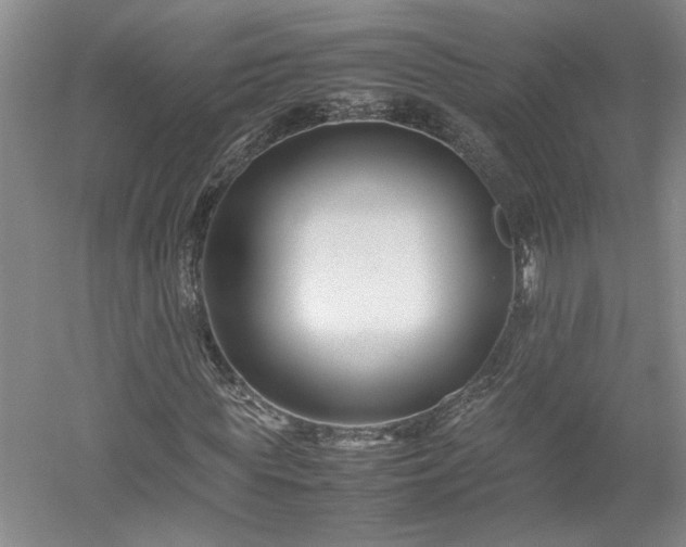 X0000052990819200507151852
