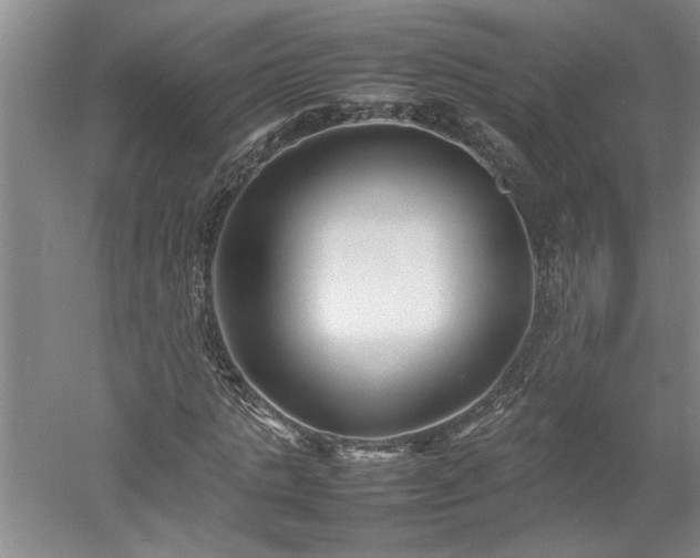 X0000052990821200507151852