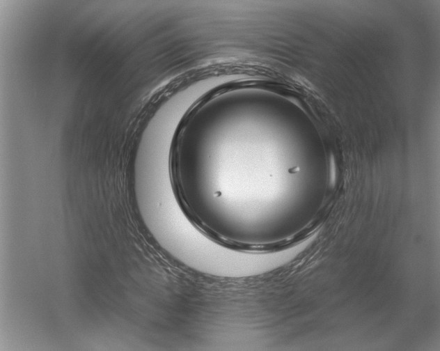 X0000052990822200507151852