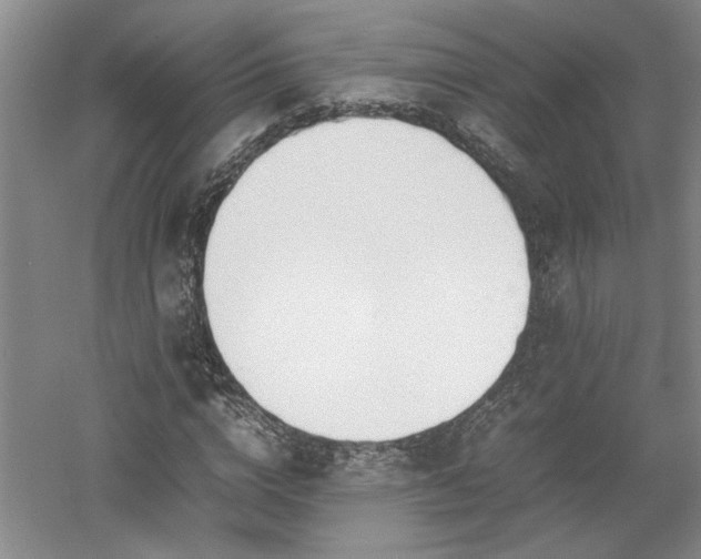 X0000052990824200507151852