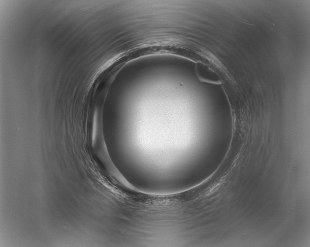 X0000052990826200507151853