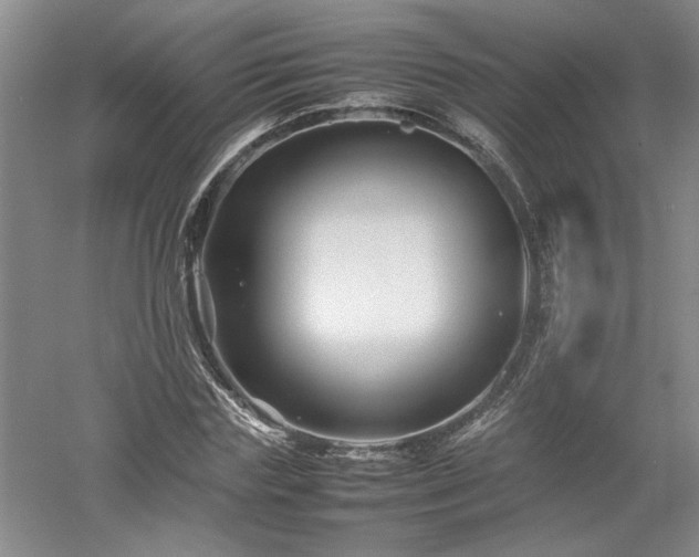 X0000052990827200507151853