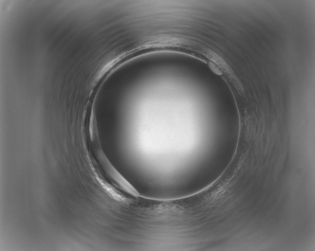 X0000052990842200507151853
