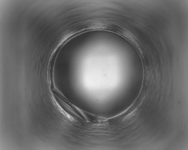 X0000052990843200507151853