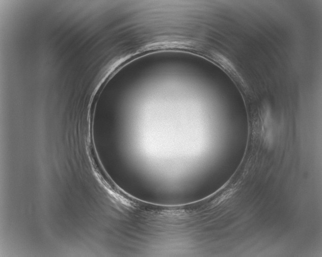 X0000052990844200507151853