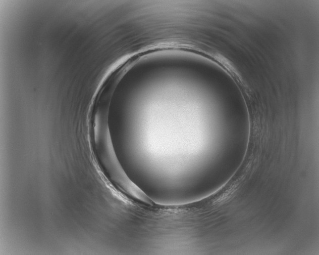 X0000052990854200507151853
