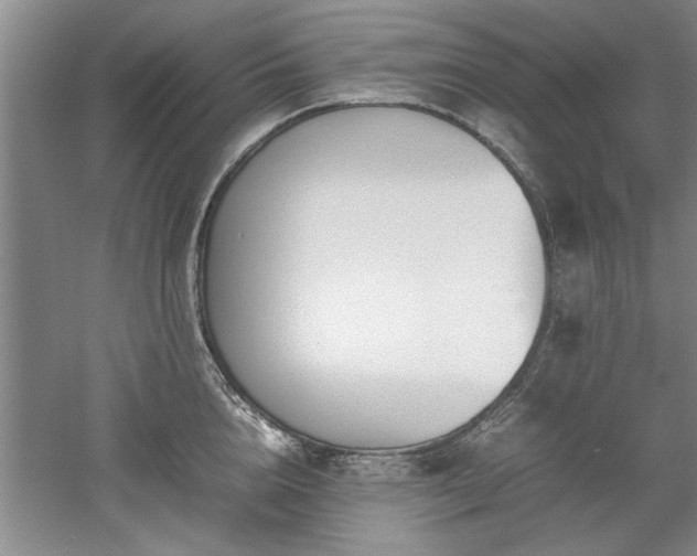 X0000052990856200507151853