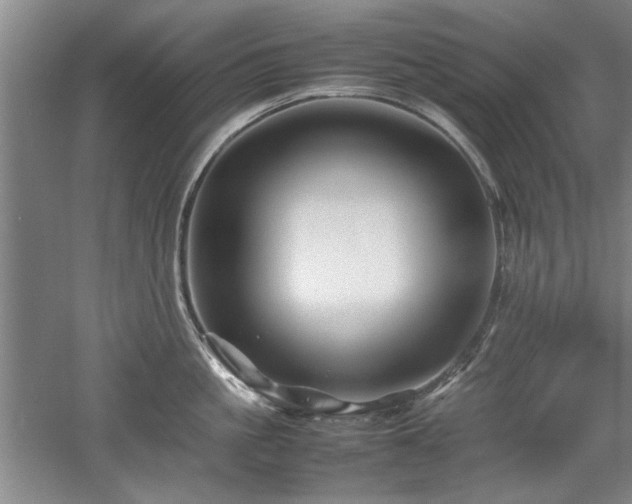 X0000052990861200507151853