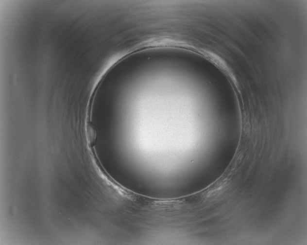 X0000052990863200507151853