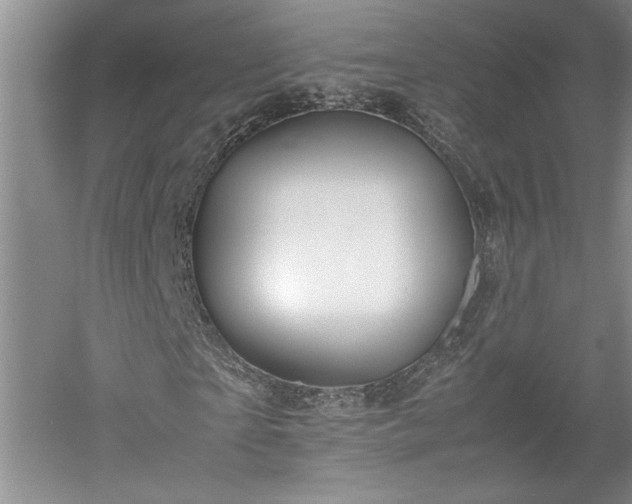 X0000052990865200507151852
