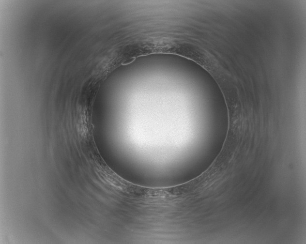 X0000052990866200507151852