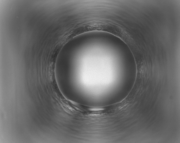 X0000052990868200507151852