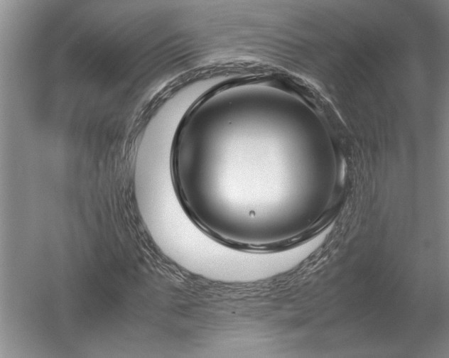 X0000052990871200507151852