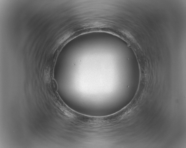 X0000052990873200507151852