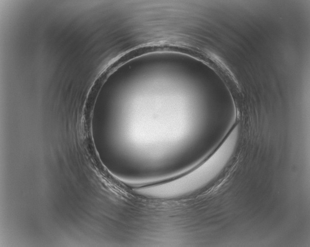 X0000052990876200507151852