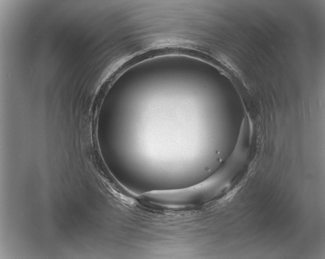 X0000052990877200507151852