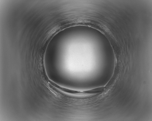 X0000052990881200507151852