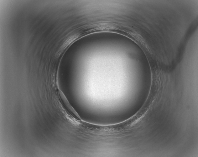 X0000052990889200507151852