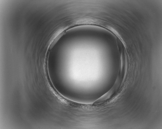 X0000052990901200507151852