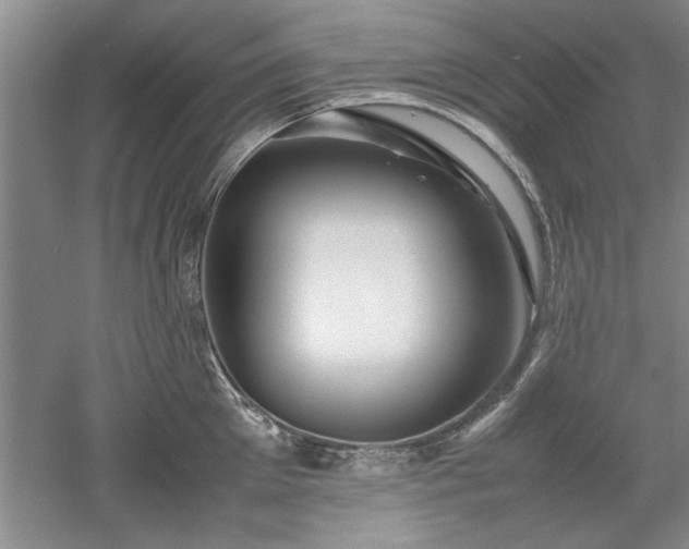 X0000052990905200507151852