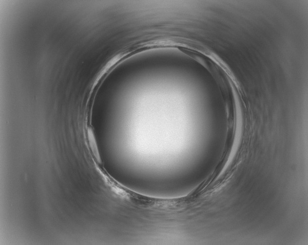 X0000052990909200507151852
