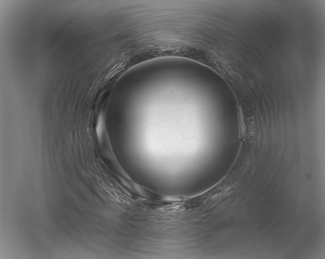 X0000052990916200507151851