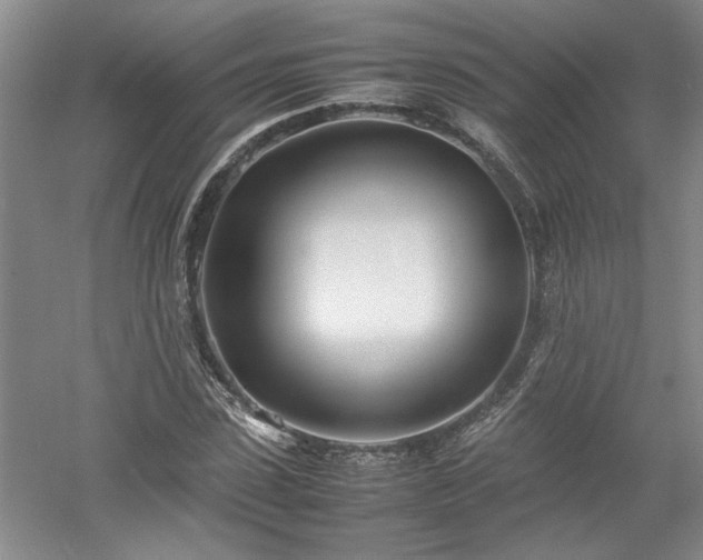 X0000052990923200507151851
