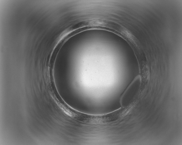 X0000052990932200507151851