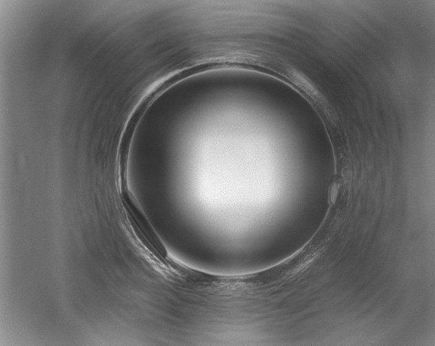 X0000052990940200507151851