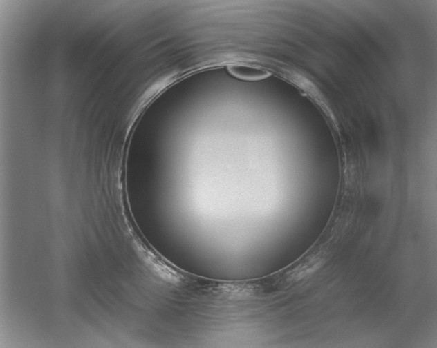X0000052990954200507151851