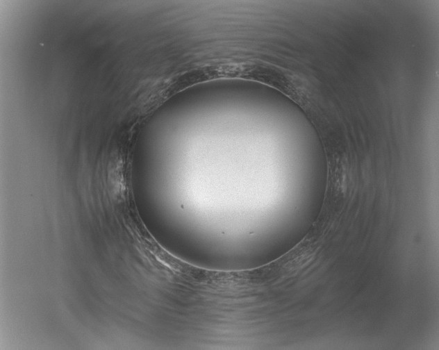 X0000052990962200507151851