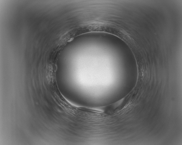 X0000052990964200507151851