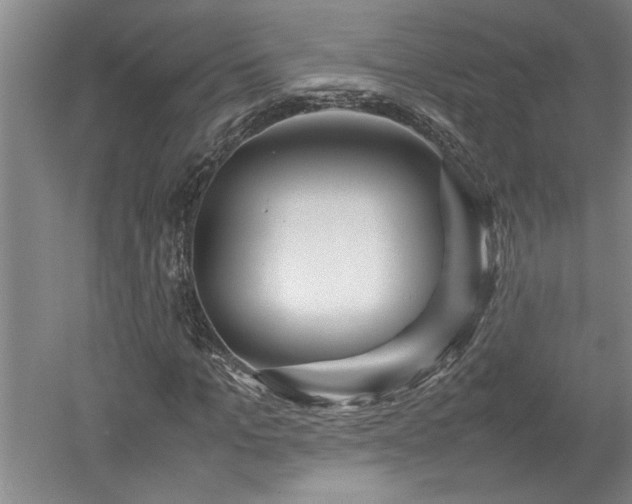 X0000052990965200507151851