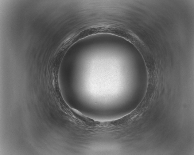 X0000052990967200507151851