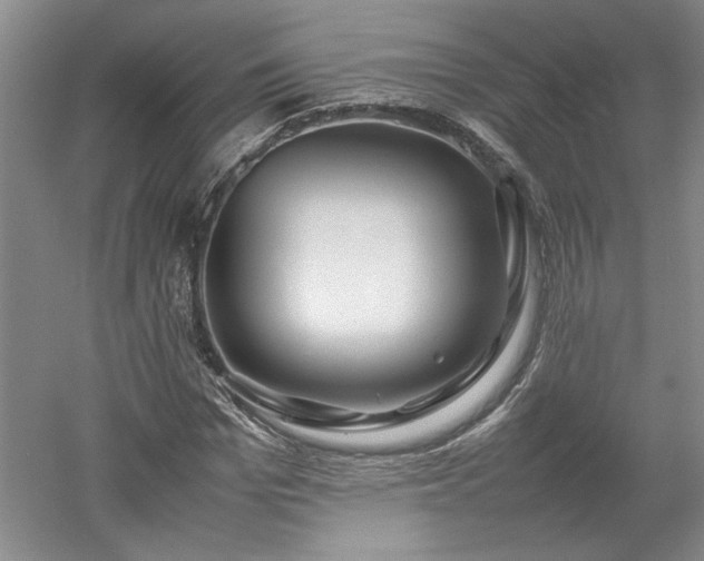 X0000052990969200507151851