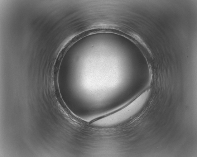 X0000052990972200507151851