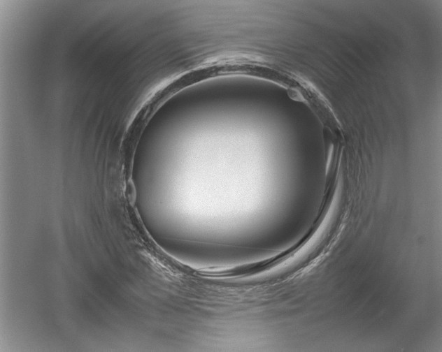 X0000052990973200507151851