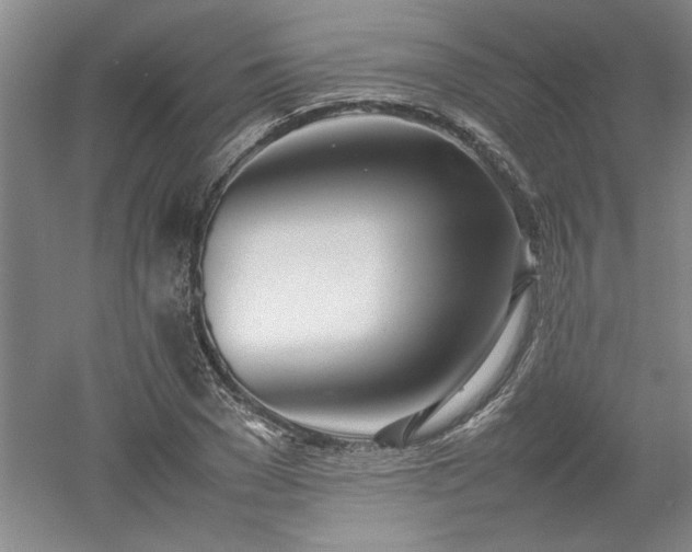 X0000052990977200507151850