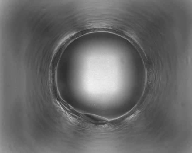 X0000052990979200507151850