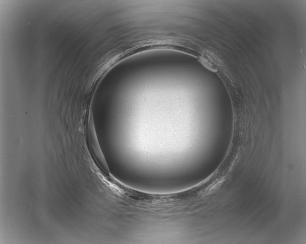 X0000052990985200507151850