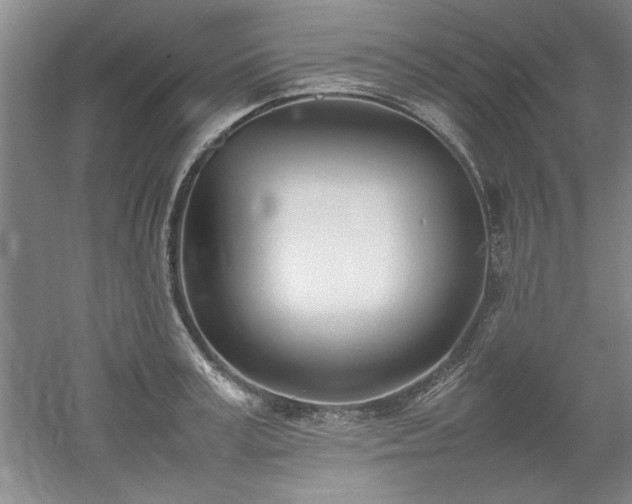 X0000052990995200507151850