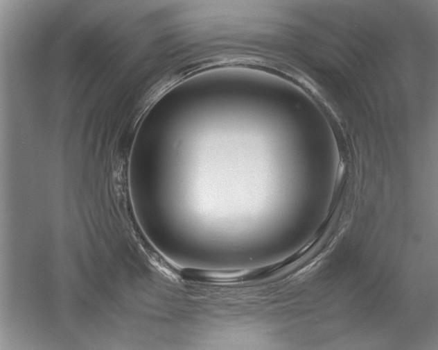 X0000052991001200507151850