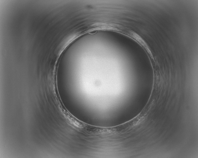 X0000052991002200507151850