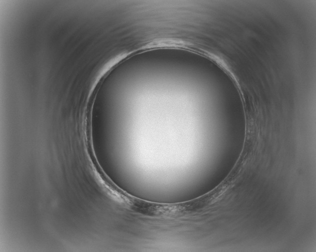 X0000052991003200507151850