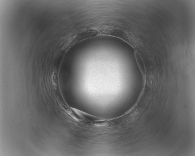 X0000052991010200507151849