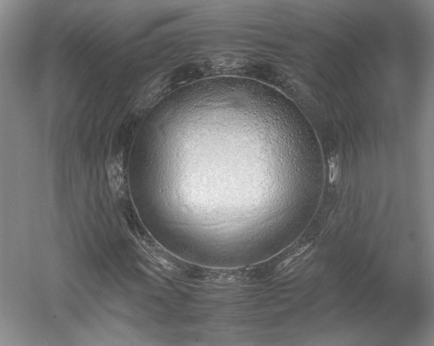 X0000052991011200507151849